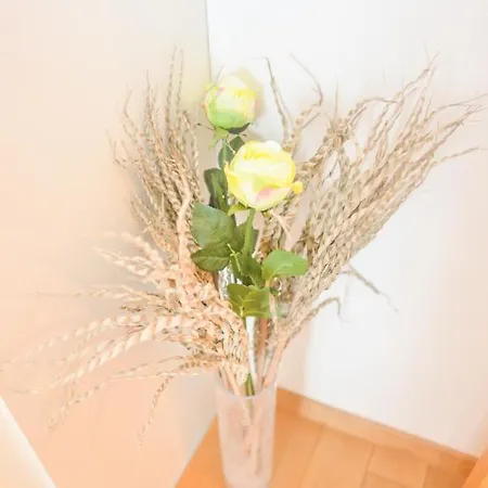 Apartment Aida Dida